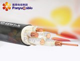 銅芯交聯聚乙烯絕緣聚氯乙烯護套電力電纜
